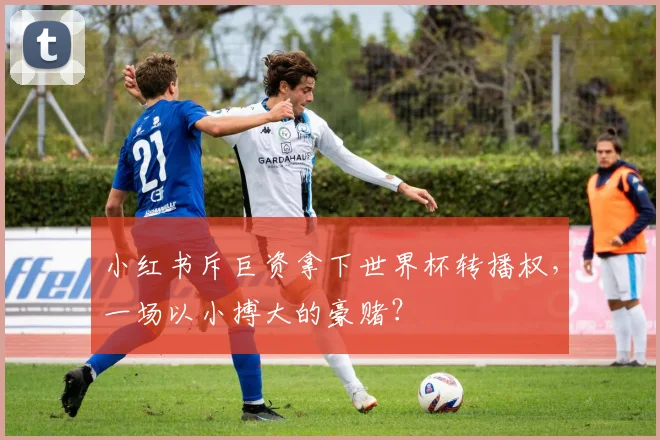 小红书斥巨资拿下世界杯转播权，一场以小搏大的豪赌？
