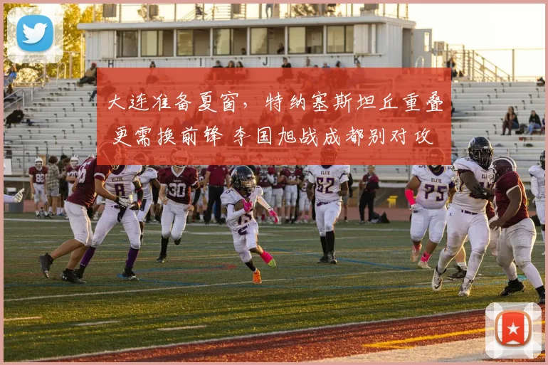大连准备夏窗,特纳塞斯坦丘重叠 更需换前锋 李国旭战成都别对攻
