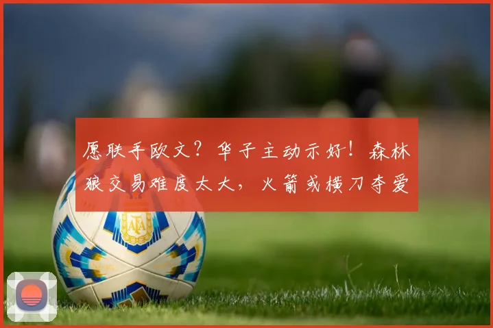 愿联手欧文?华子主动示好!森林狼交易难度太大,火箭或横刀夺爱