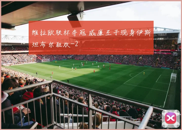 维拉欧联杯夺冠 威廉王子现身伊斯坦布尔狂欢