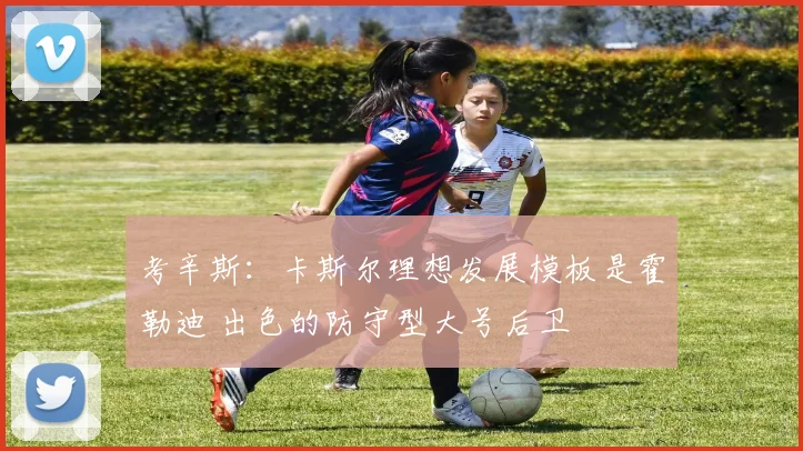 考辛斯：卡斯尔理想发展模板是霍勒迪 出色的防守型大号后卫